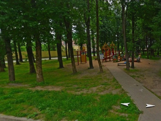 Игровую площадку в псковском парке на улице Гущина заменят на новую