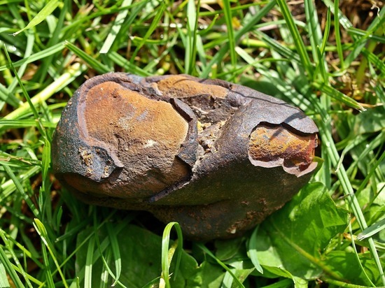 Житель Бийска пошел за грибами и нашел метеорит
