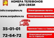 Задать вопросы специалистам администрации городского округа Серпухов можно обратившись по указанным ниже контактам.