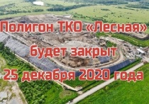 Определена дата закрытия полигона ТКО «Лесная» в городском округе Серпухов.