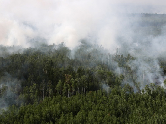 В Якутии действуют 23 лесных пожара