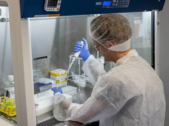 29 случаев коронавируса выявлено в Хакасии за сутки