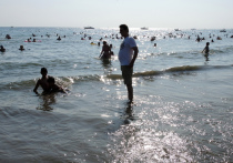 Переполненные пляжи Крыма возмутили местных: «Одно быдло с пивными животами»
