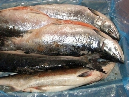 Хабаровчане предпочитают покупать рыбу у нелегалов на улице