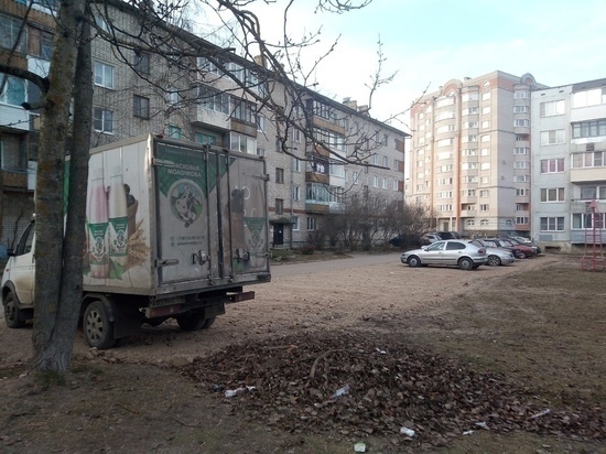Глава Пскова: Парковка на «лысом» газоне теперь тоже чревата штрафом
