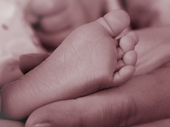 Тело новорожденного ребенка нашли в мусорном контейнере в Муроме