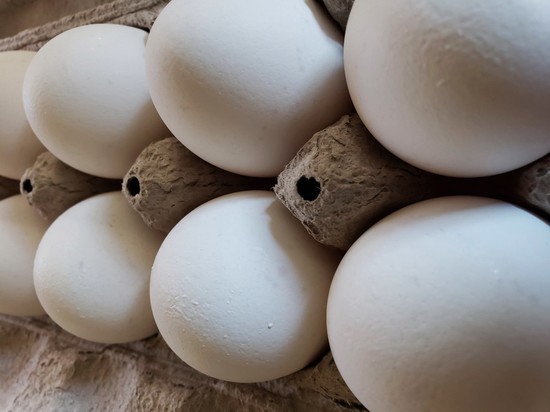 Большинство людей хранят яйца неправильным и опасным способом