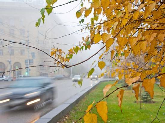 Осенние ПДД: о чем нельзя забывать в межсезонье на дороге