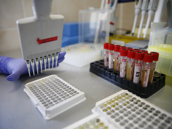 30 новых случаев коронавируса выявлено в Хакасии за сутки