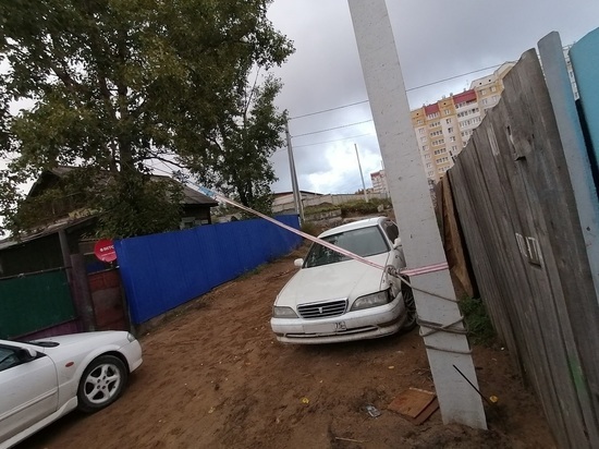 Падающий тополь привязали к электроопоре в Чите