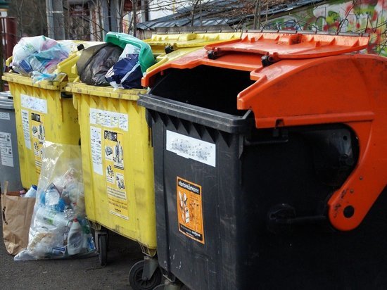Минприроды Забайкалья обвинили в фальстарте раздельного сбора мусора