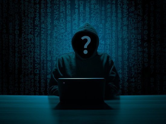 Полиция на Алтае ищет очередного кибермошенника