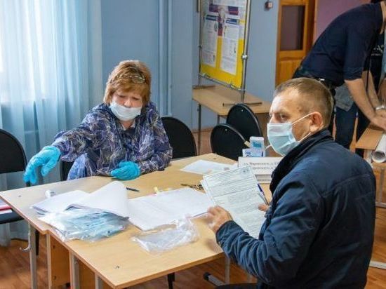 «Зеленая альтернатива» признала выборы в Челябинской области чистыми