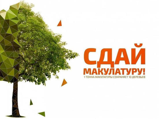 Эко-марафон «Сдай макулатуру – спаси дерево!» проходит в Заполярье