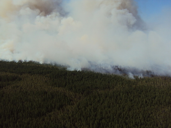 Площадь лесных пожаров в Якутии увеличилась на 370 гектаров