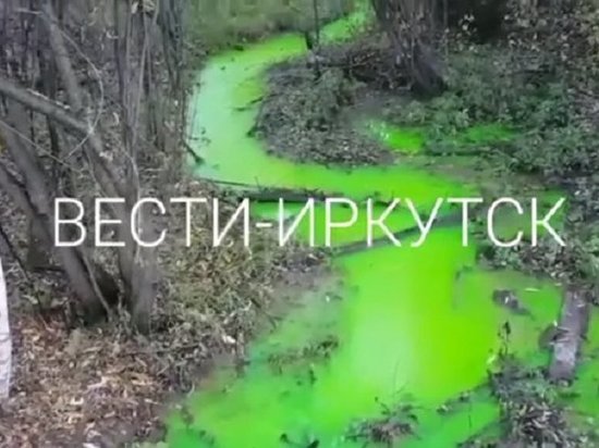 В иркутском микрорайоне Топкинский нашли зелёный ручей