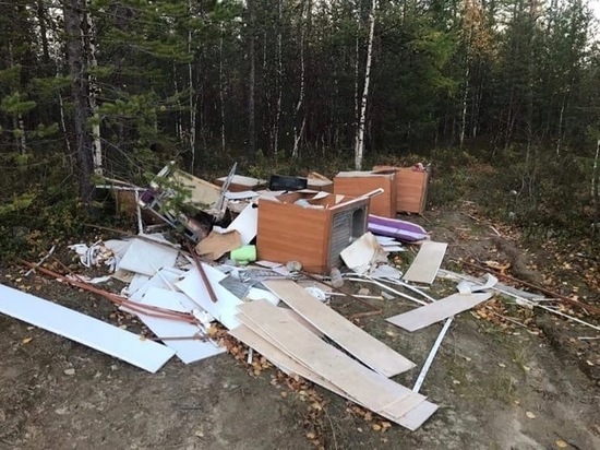 Леса Ноябрьска завалили мусором