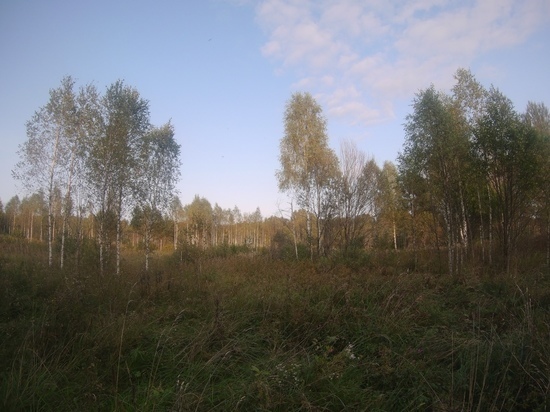 В Пятницу в Смоленской области значительно похолодает