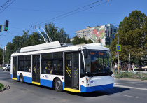 Доставка 30 троллейбусов из Москвы в Читу по муниципальному контракту обойдется в 17,6 млн рублей