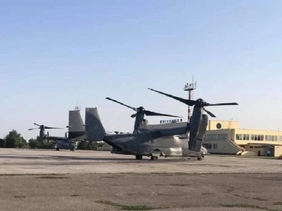 В Винницу прибыли «зеленые береты»