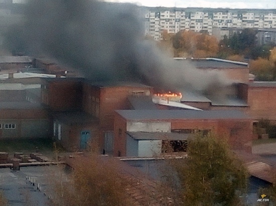 В Новосибирске загорелся кирпичный завод