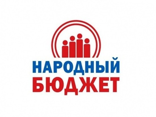 В Костроме распределили деньги на «народный бюджет»