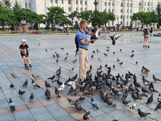 Хабаровск продолжает «кормить голубей»