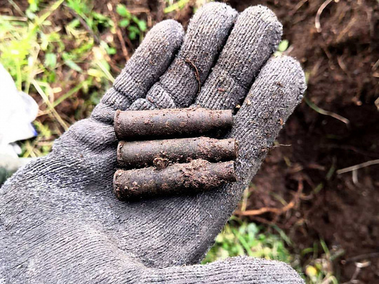 Захоронение советских солдат нашли поисковики из Хабаровска