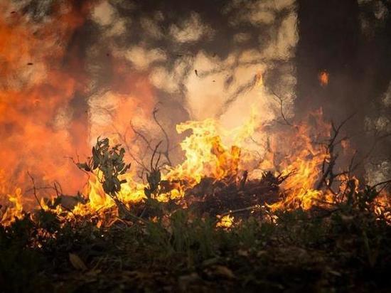 Колымчан предупреждают о пожарной опасности в ближайшие дни