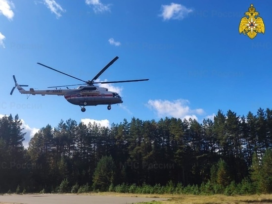 Ребенка из Тверской области спасли медики на вертолете