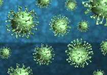 В Забайкалье за сутки зафиксировали 58 новых случаев заражения коронавирусом