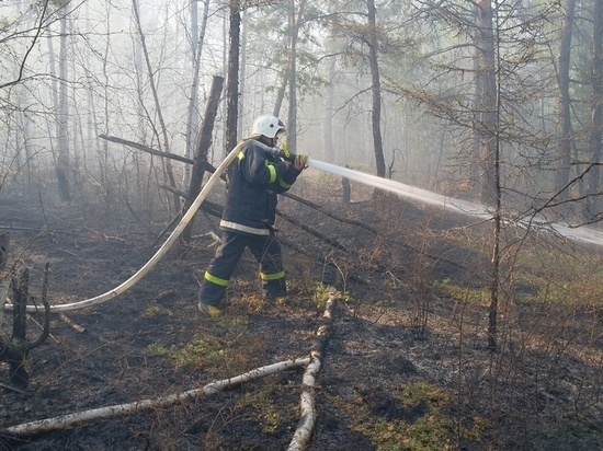 Якутск и еще 19 сел республики окутал дым от лесных пожаров