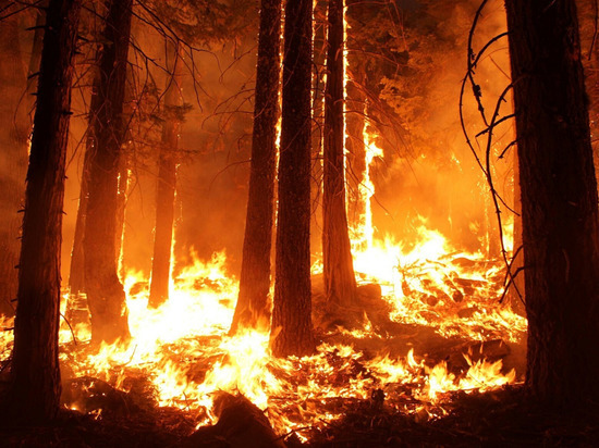 В Магадане ввели режим ЧС из-за опасных лесных пожаров