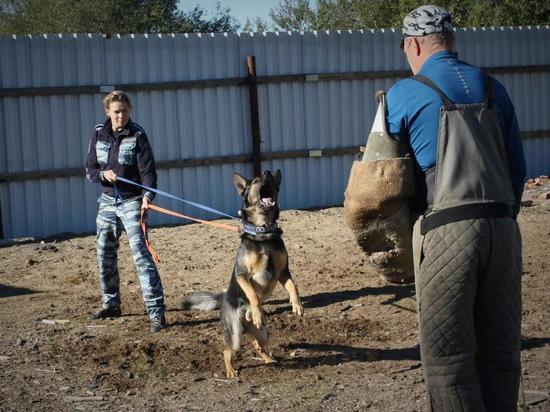 Кинологи УФСИН и полиции раскрыли секреты дрессировки служебных собак