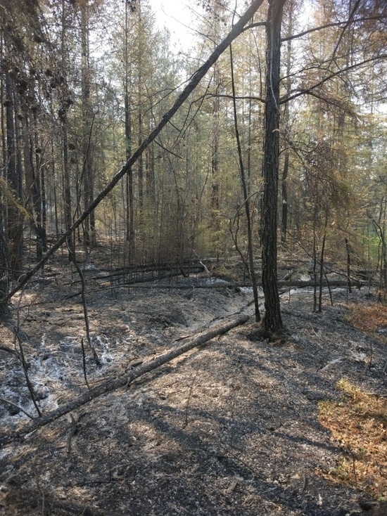 Якутск и еще более 20 сел республики окутаны дымом