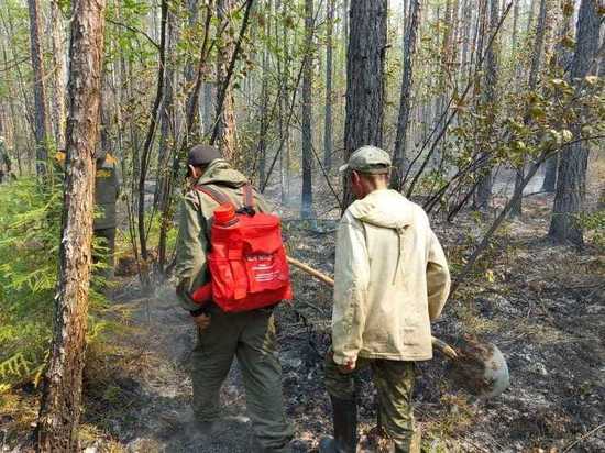 В Чурапчинском улусе Якутии вывозят сено и патрулируют лесные пожары