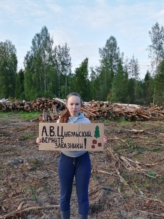 Цыбульский не слышит активистов, которые хотят сохранить архангельские леса