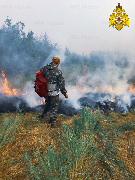 23 лесных пожара действуют в Якутии