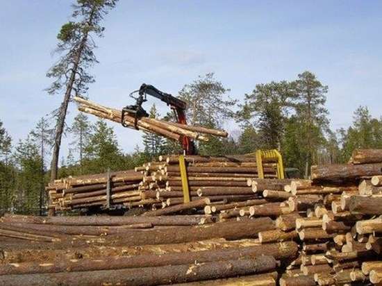 В Костромской области ввели новые меры поддержки лесозаготовителей
