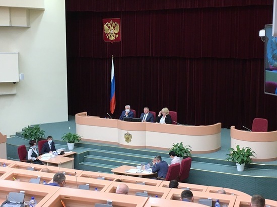 Саратовские депутаты увеличение выплат многодетным семьям на 3,4% назвали геноцидом