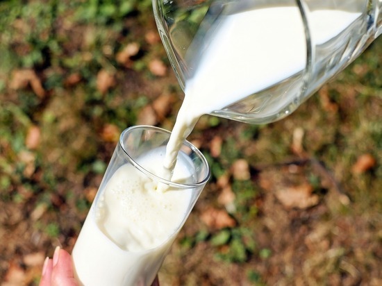 Карельские сельхозпредприятия значительно увеличили надой молока