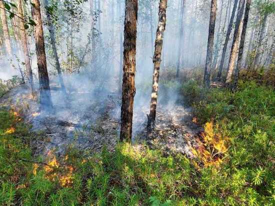 Министр экологии Якутии объяснил причину осенних лесных пожаров