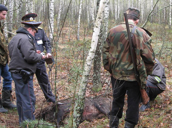 В Ярославской области посчитали нарушителей правил охоты