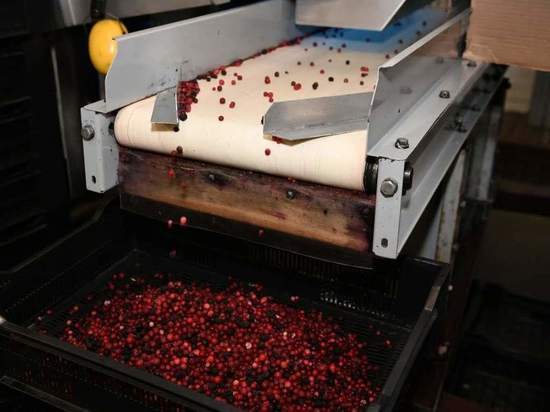 Арбитражный суд Карелии отменил обеспечительные меры в отношении фирмы «Чикаго»