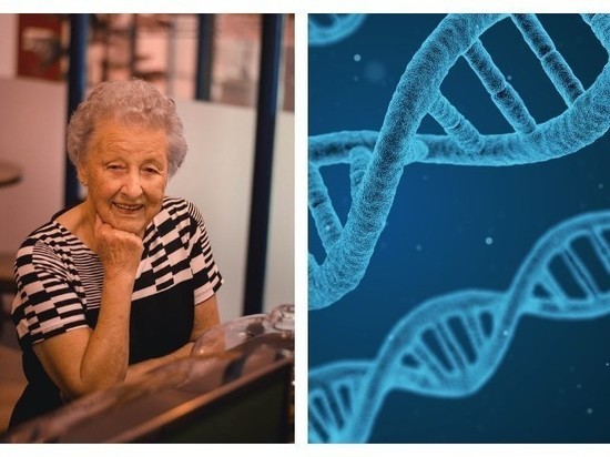 Ученые доказали, что долголетие зависит от генов