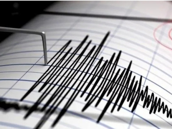 Землетрясение магнитудой в 4 балла произошло в Новосибирской области