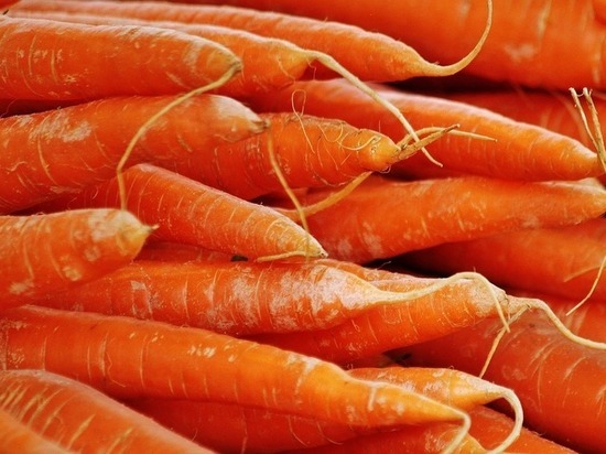  В Ставропольском крае уродилось на 60% больше моркови