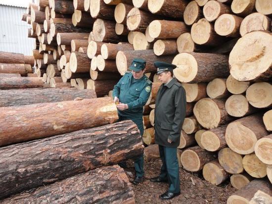 В Костромской области усилен контроль за нецелевым использованием древесины
