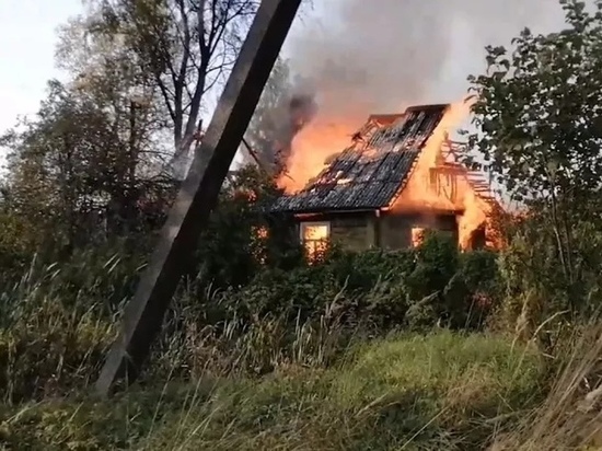 Масштабный пожар в Острове: пламя охватило несколько домов