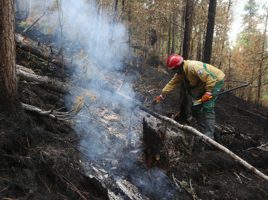 В двух районах Якутии локализованы крупные лесные пожары